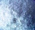 Stearic Acid